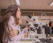 Mulheres são maioria nas universidades estaduais do Paraná