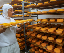 Indicação geográfica impulsiona queijos de Witmarsum nos mercados nacional e internacional
