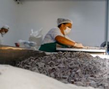Balas, pescados e cachaça: a riqueza dos produtos do Litoral.Foto Gilson Abreu/AEN