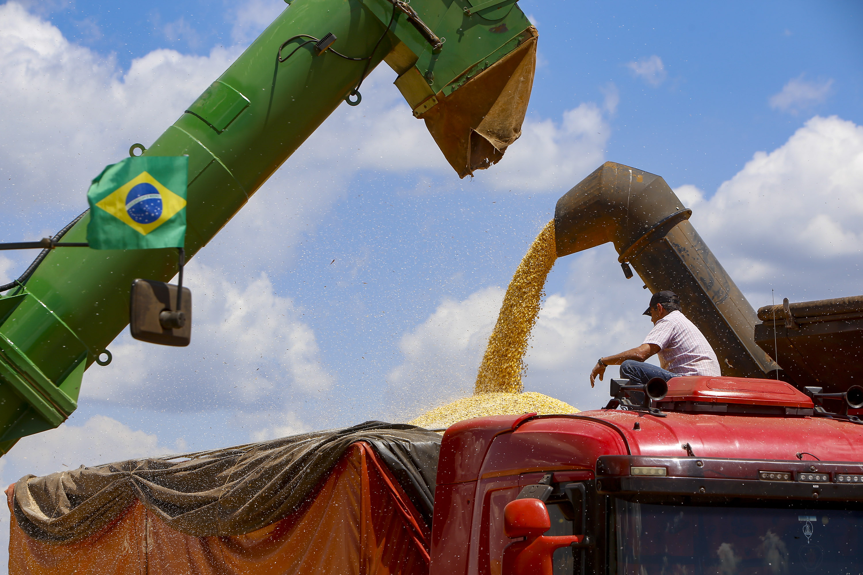 Colheita da 2ª safra de milho começa no Paraná; previsão é de recorde de 16 milhões de toneladas