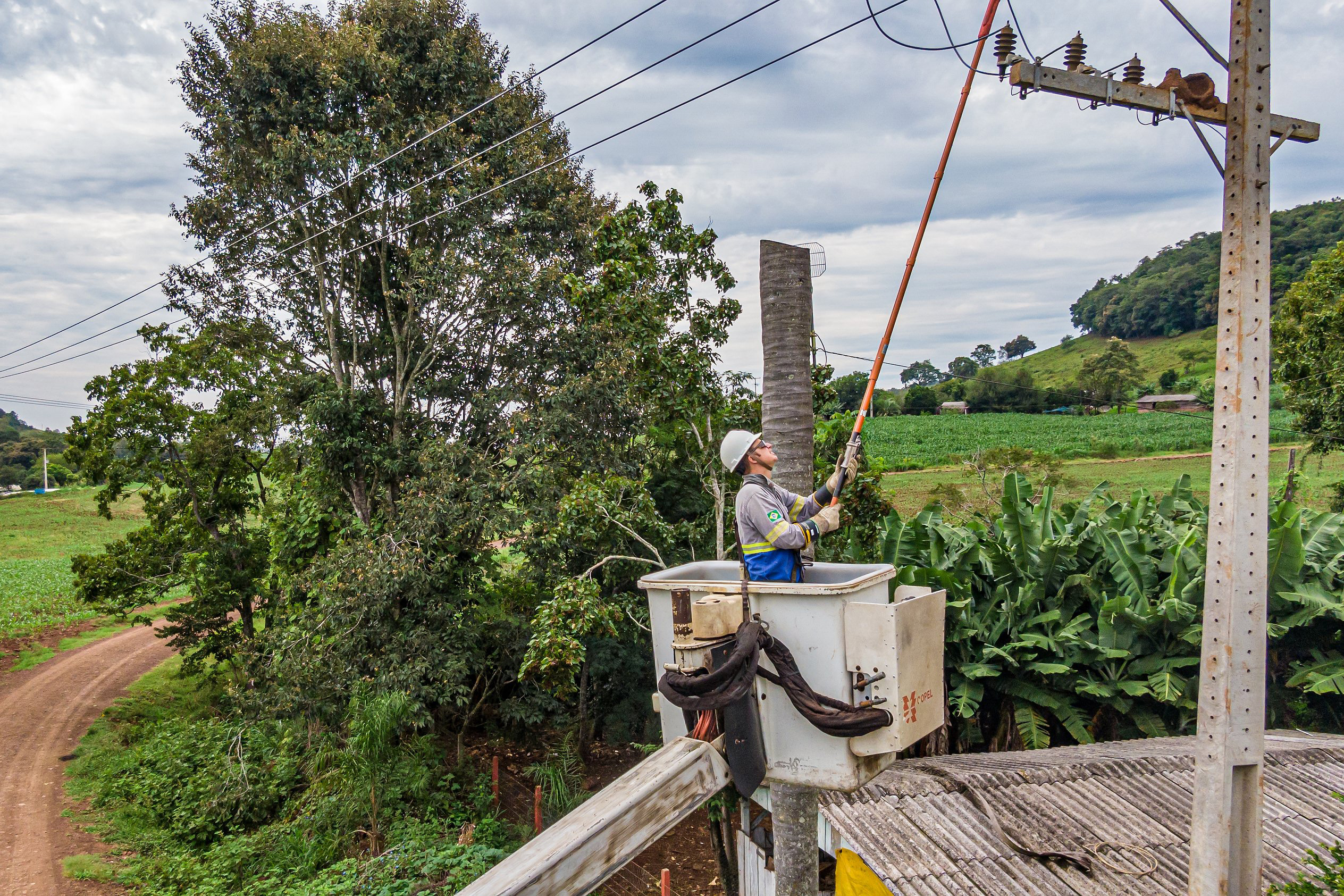 Copel completa 68 anos prestes a concluir 10 mil km de redes do Programa PR Trifásico