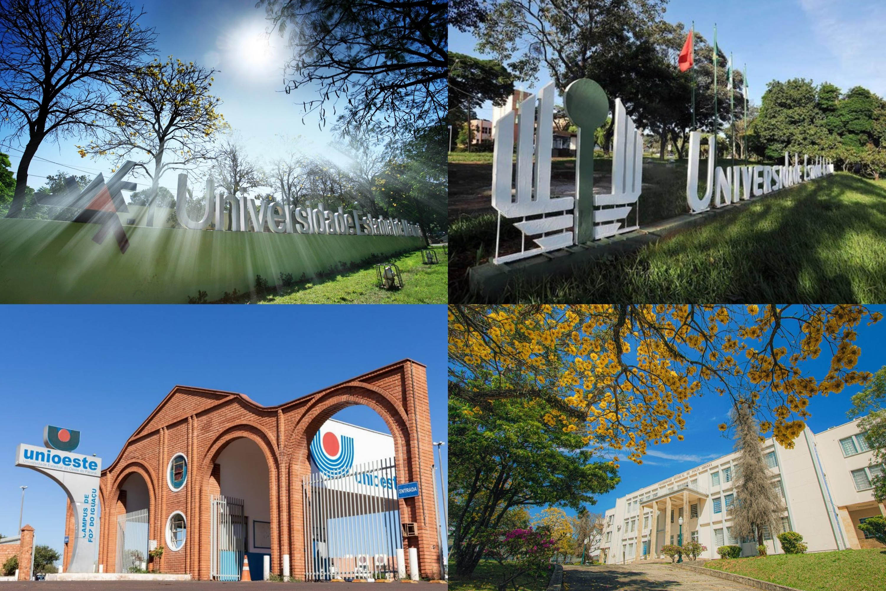 Ranking internacional classifica universidades estaduais do Paraná em áreas do conhecimento