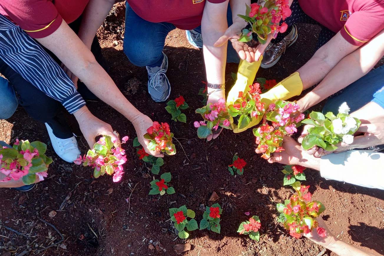 Rios de Cascavel recebem flores e árvores   