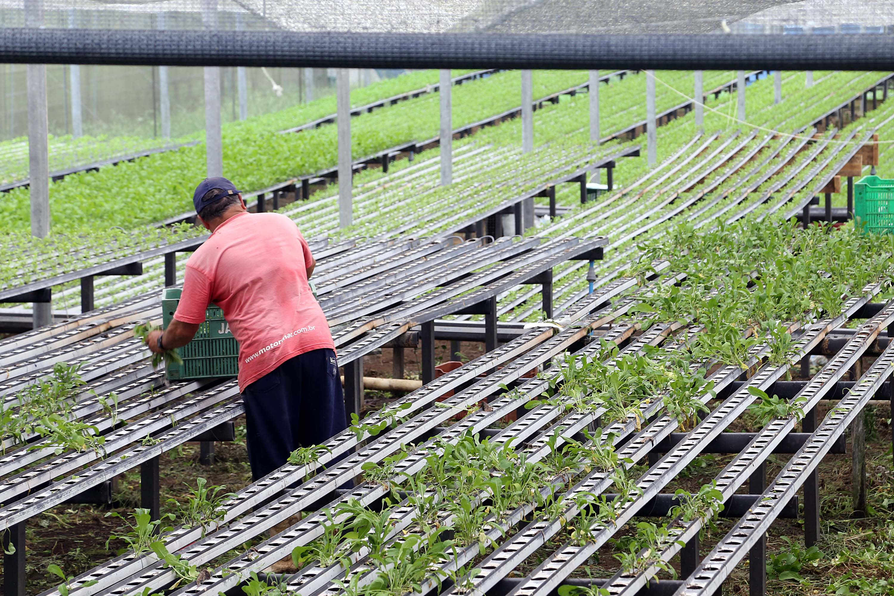Em quatro anos, programas do Estado liberam mais de R$ 67 milhões para agricultores familiares
