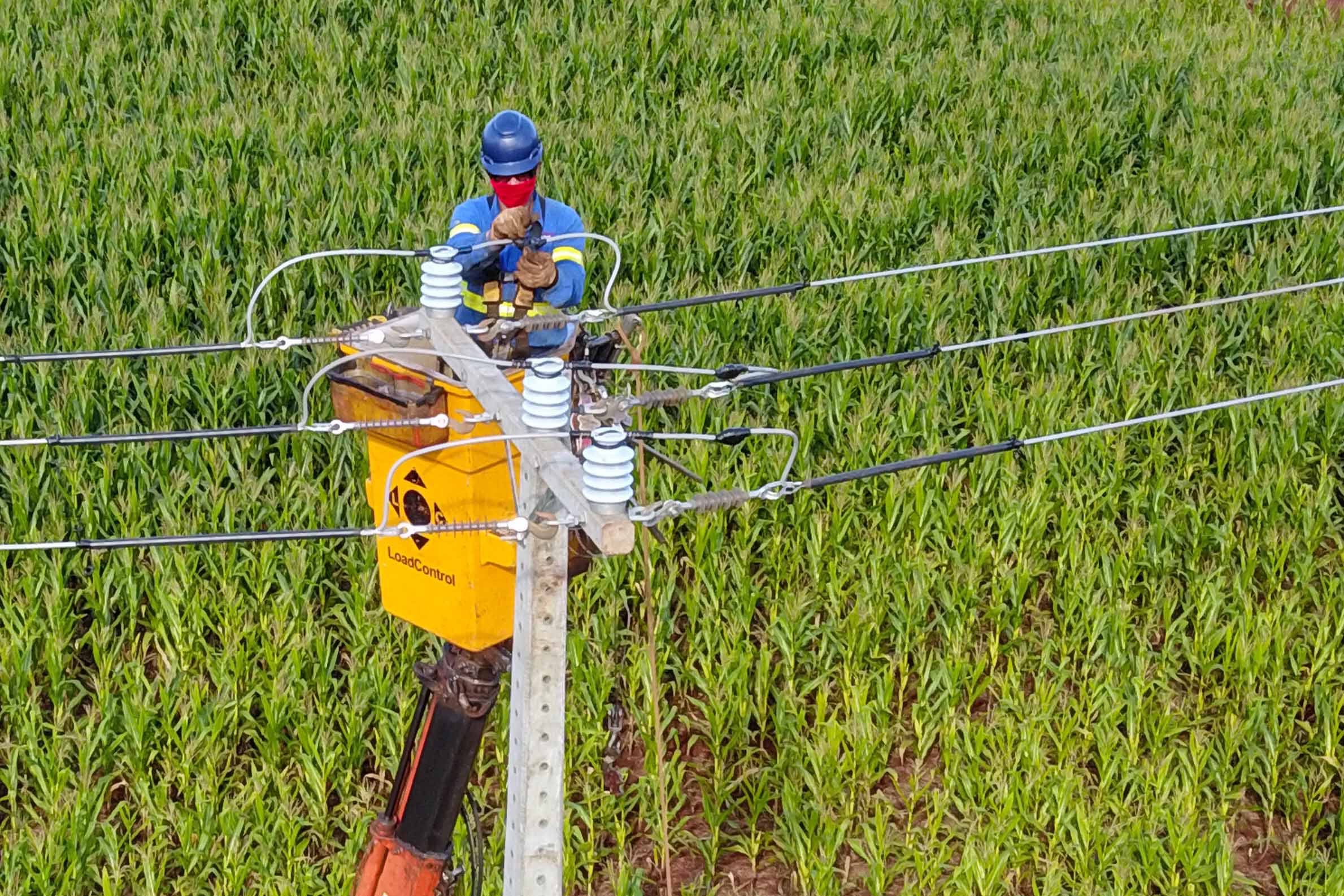 Copel investirá R$ 2,067 bilhões em 2022 - Energia Hoje