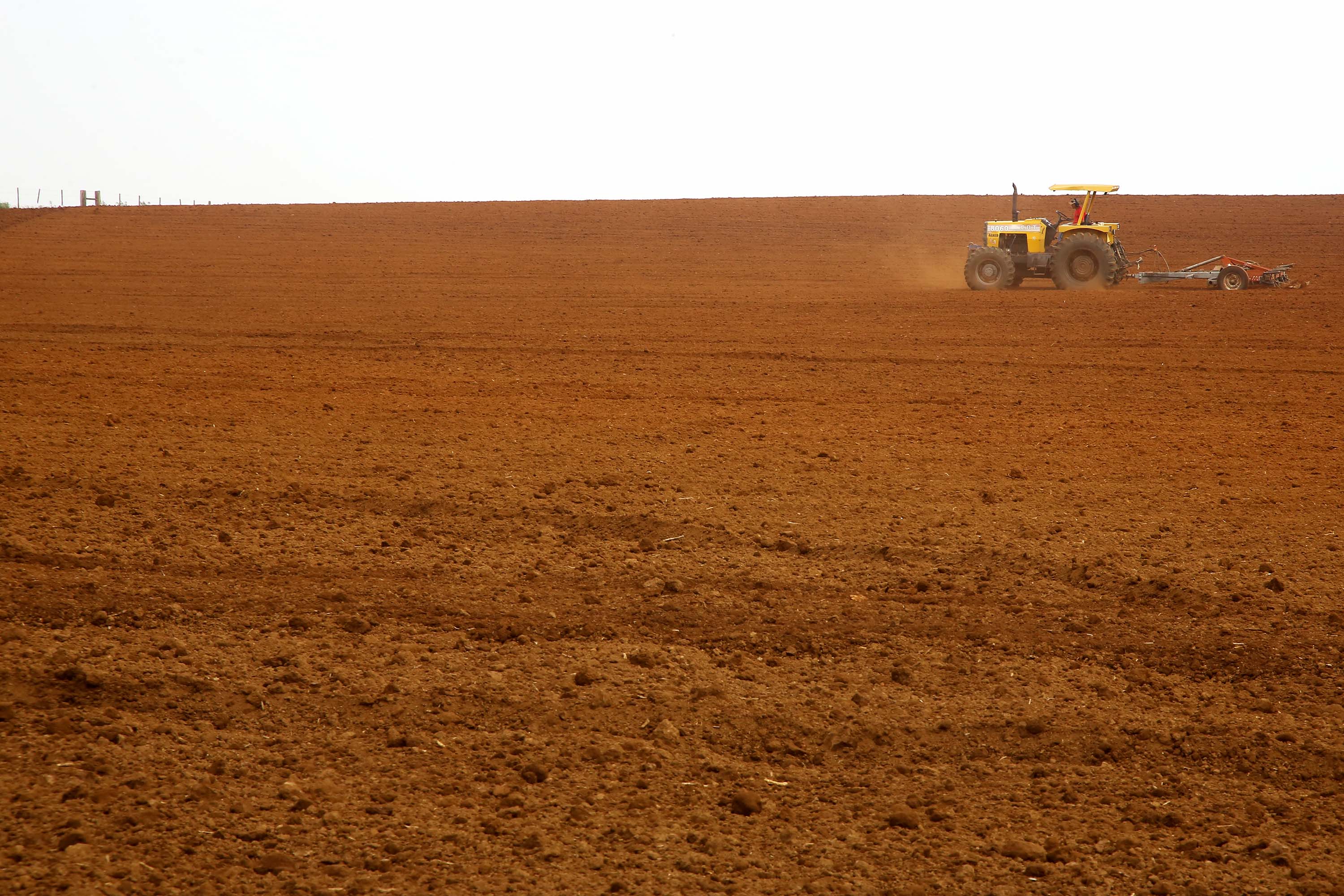 Paraná tem a melhor classificação do Brasil em potencialidade agrícola, segundo IBGE