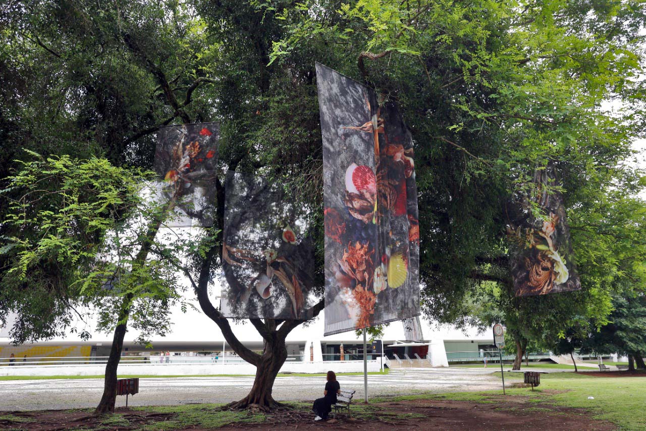 Museu Oscar Niemeyer leva arte para a área externa, num projeto inédito