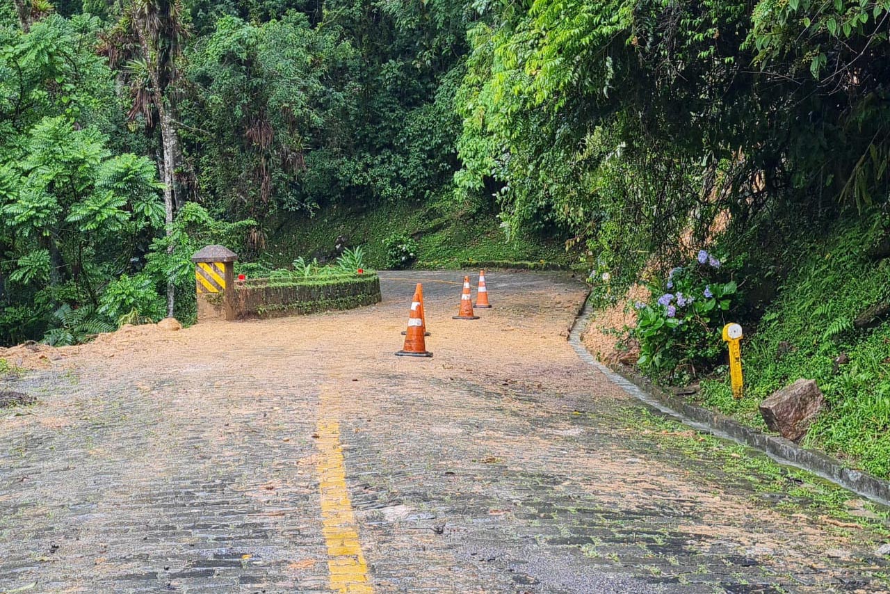 Fomento Paraná oferece crédito com condições especiais a empreendedores afetados pelas chuvas