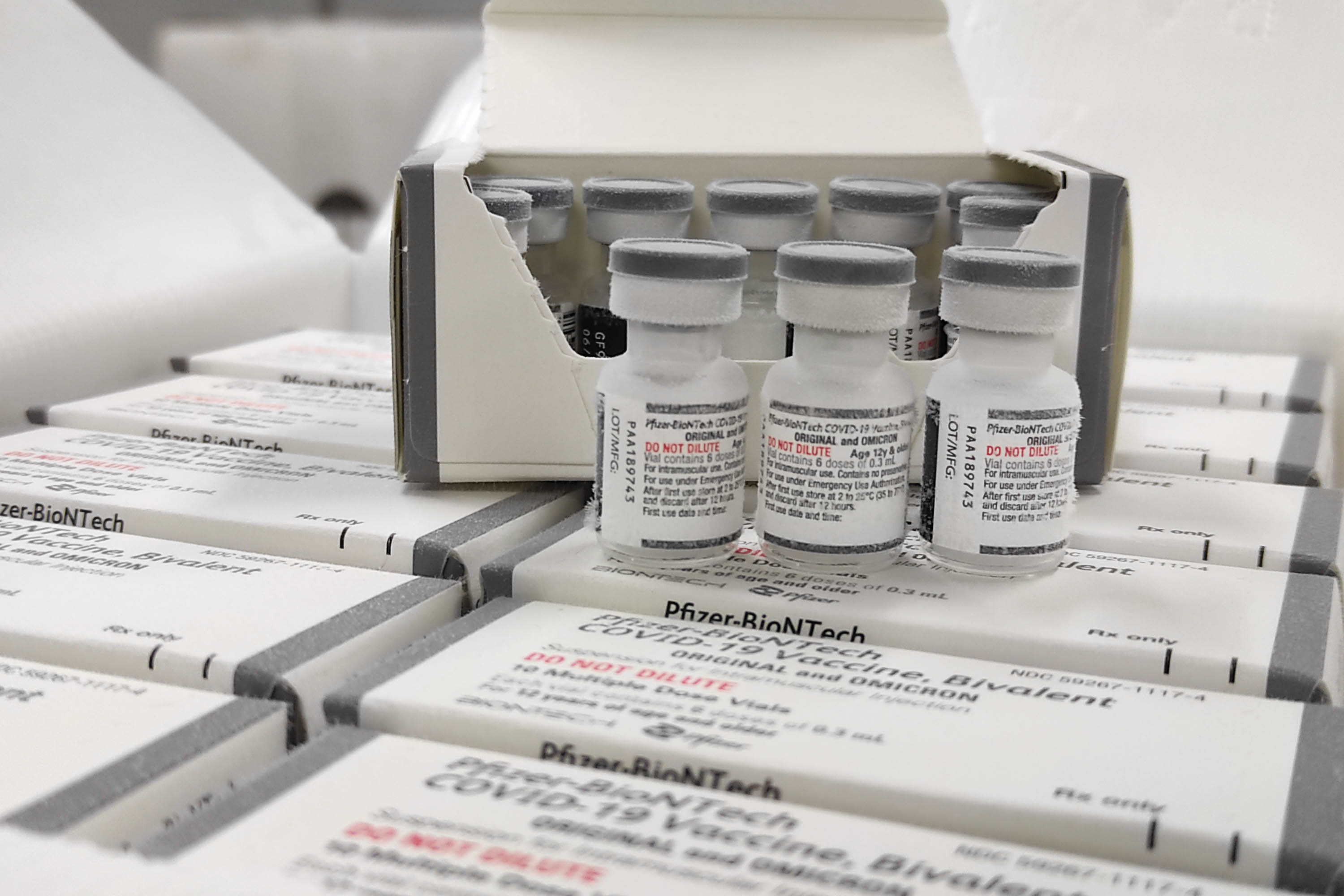 Saúde recebe novo lote de vacinas bivalente contra a Covid-19