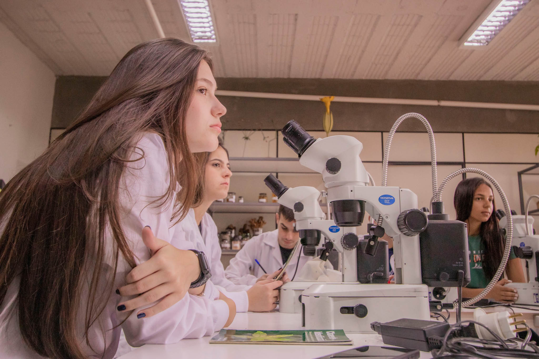 Mulheres são maioria nas universidades estaduais do Paraná