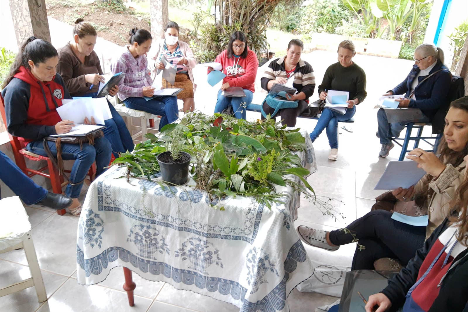 Projeto da Unicentro incentiva autonomia de agricultoras por meio do uso  de plantas medicinais