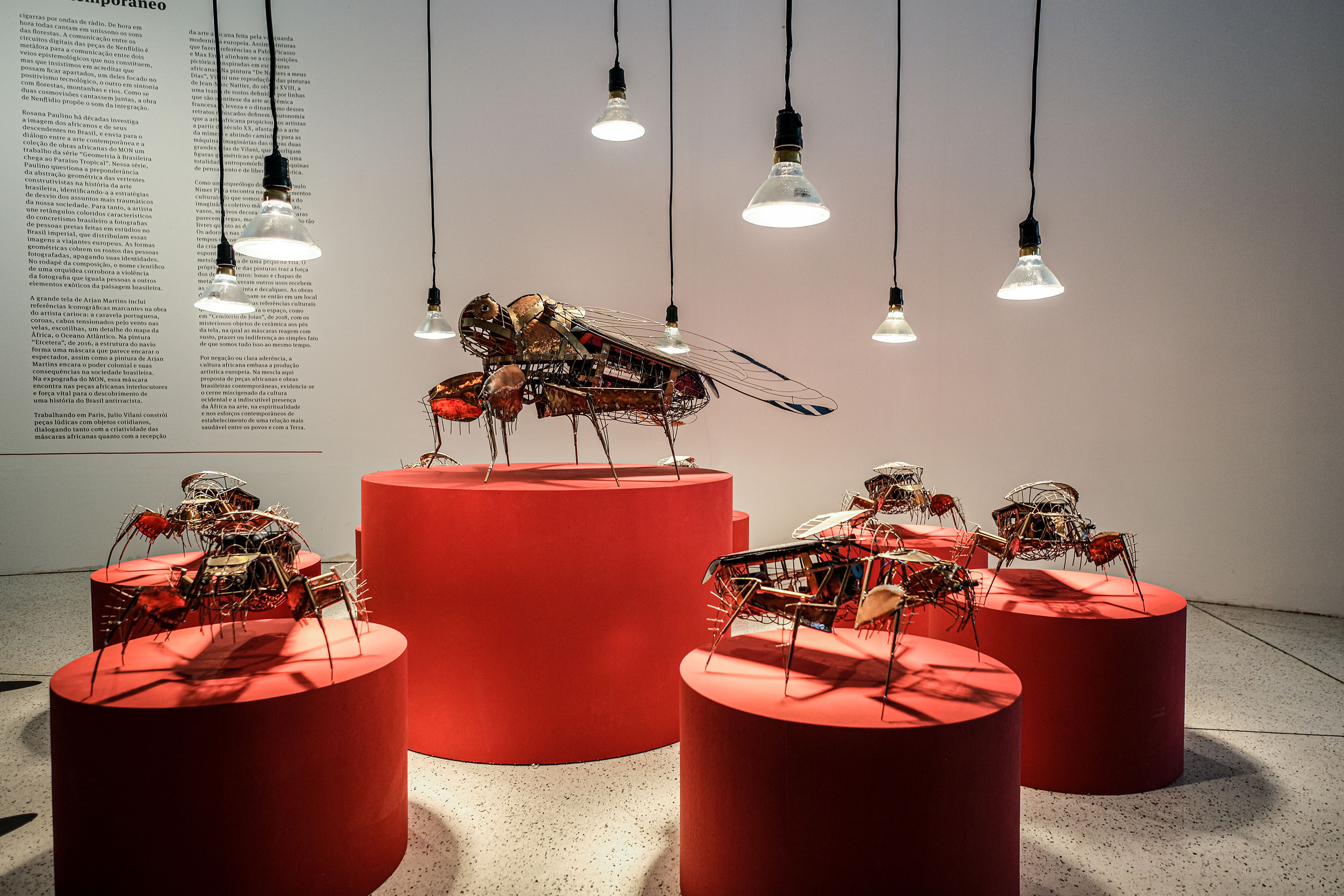 MON terá programação especial da nova exposição africana para público com mais de 60 anos