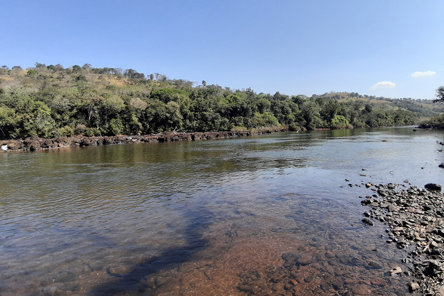 Comitês de Bacias Hidrográficas se reúnem para discutir gestão da água no Paraná