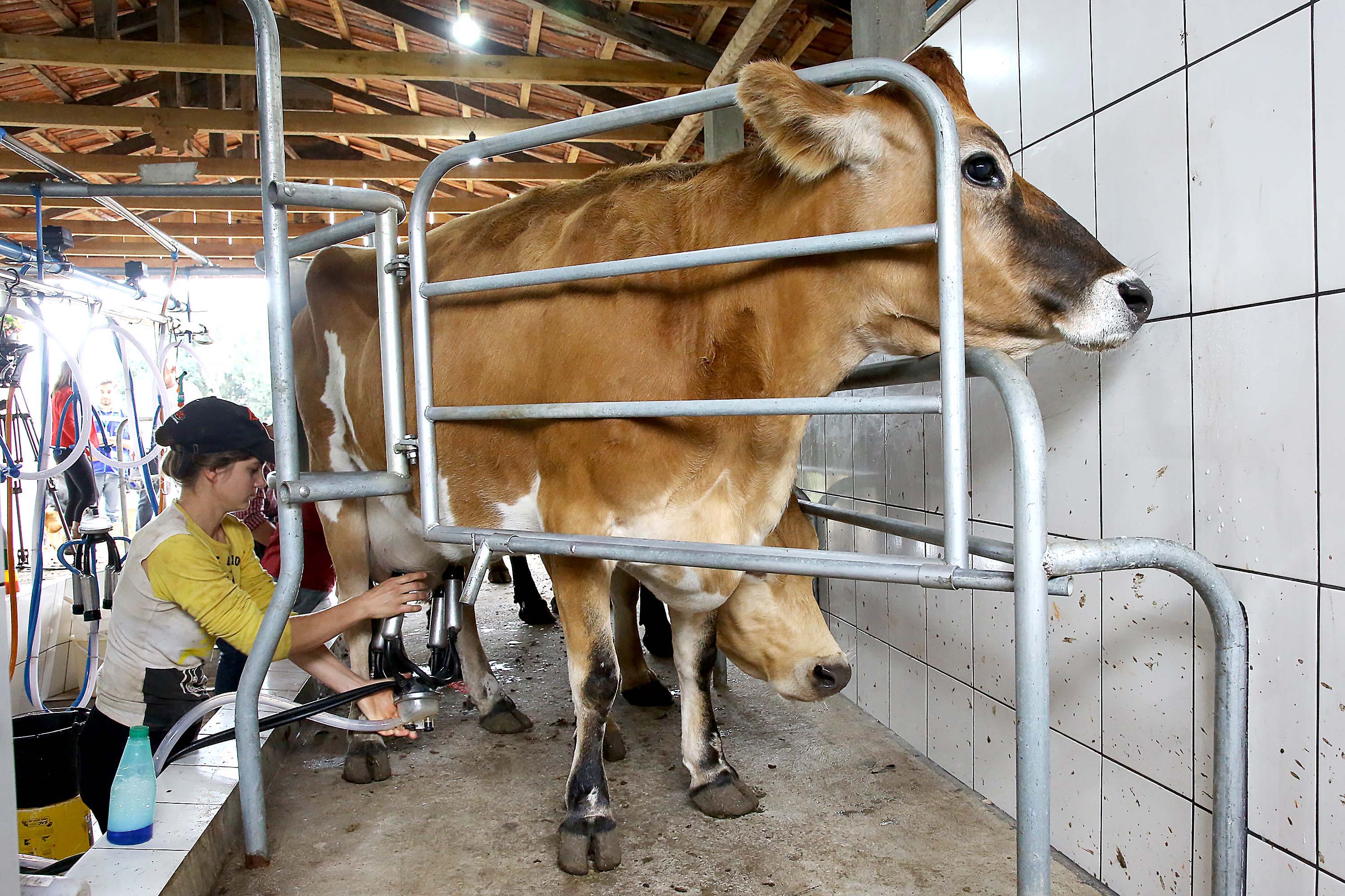 Foto: Reprodução/Secom Paraná