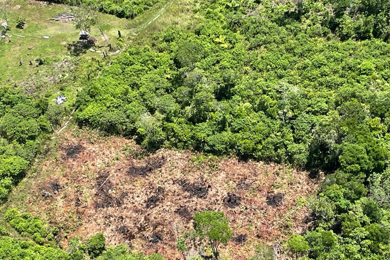 Foto: Reprodução/Secom Paraná