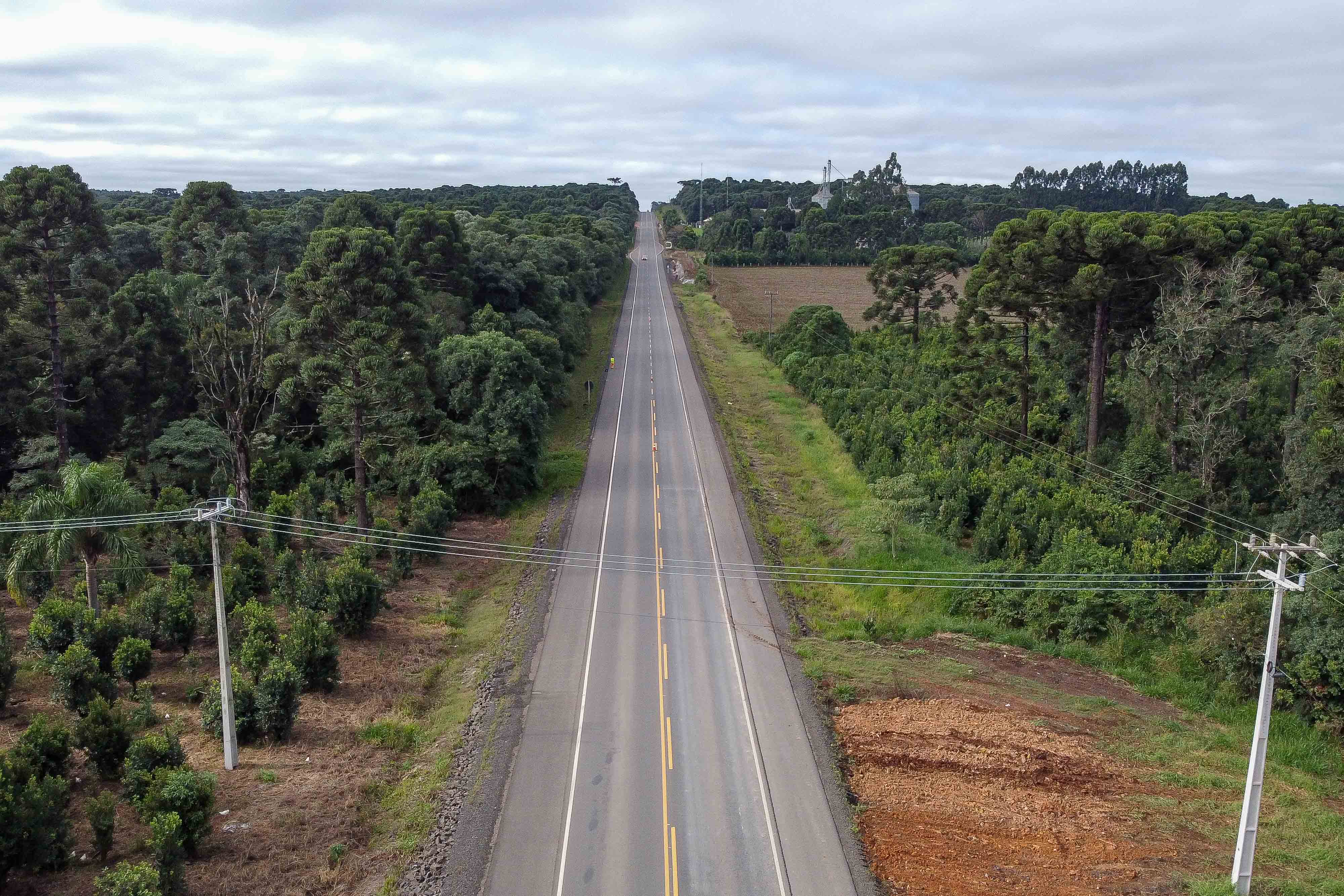 Foto: Reprodução/Secom Paraná