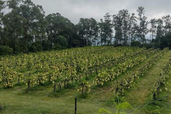 Foto: Reprodução/Secom Paraná