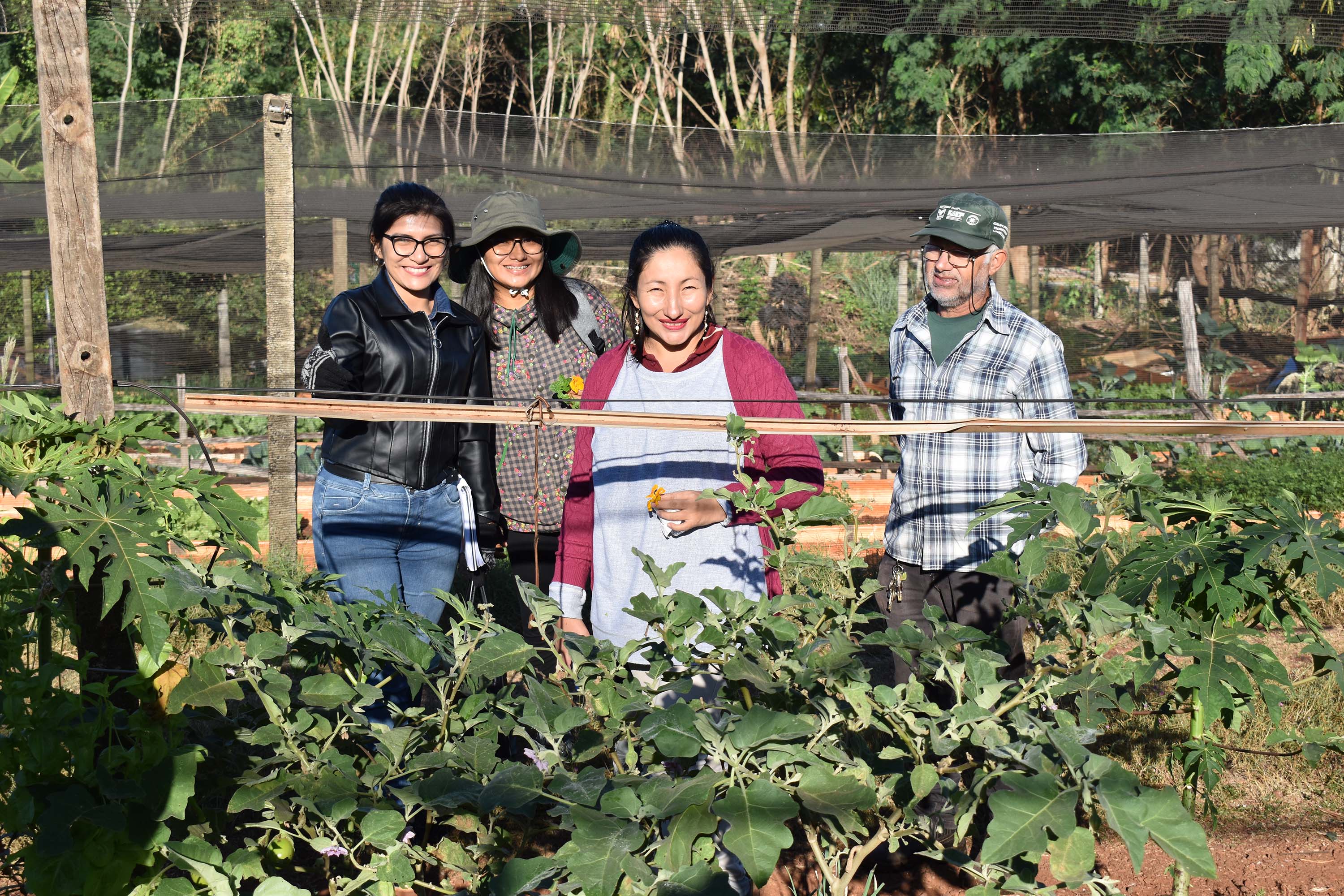 Horta comunitária do programa Cultivar Energia em Maringá recebe comitiva peruana 