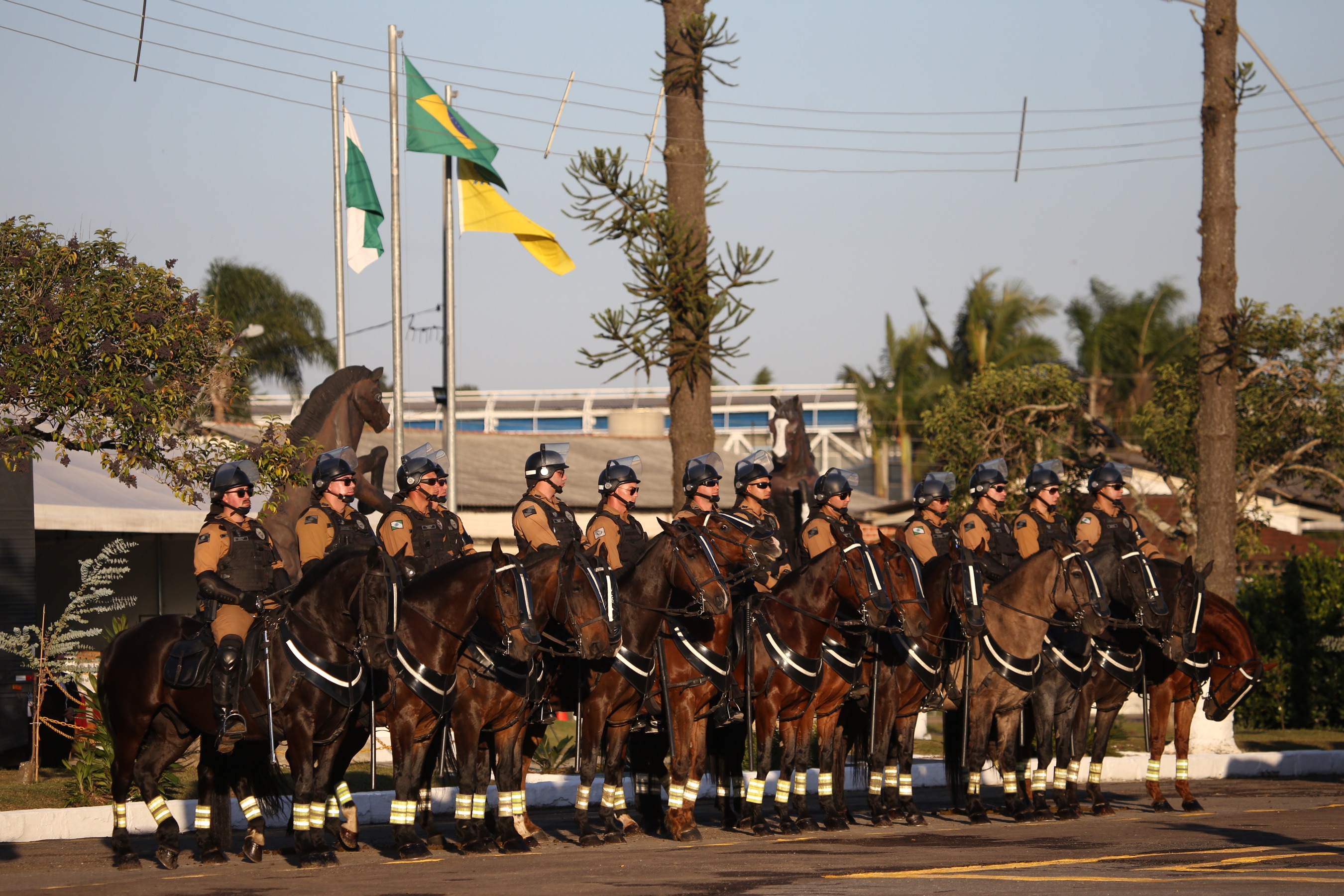 O governador Carlos Massa Ratinho Junior e o presidente em exercício Hamilton Mourão receberam nesta sexta-feira (28) a medalha Heróis da Cavalaria, da Polícia Montada Coronel Dulcídio. A condecoração foi entregue na cerimônia, em Curitiba, que comemora os 140 anos do regimento, que é a unidade mais antiga da Polícia Militar do Paraná. - Curitiba, 28/06/2019 - Foto: José Fernando Ogura/ANPr