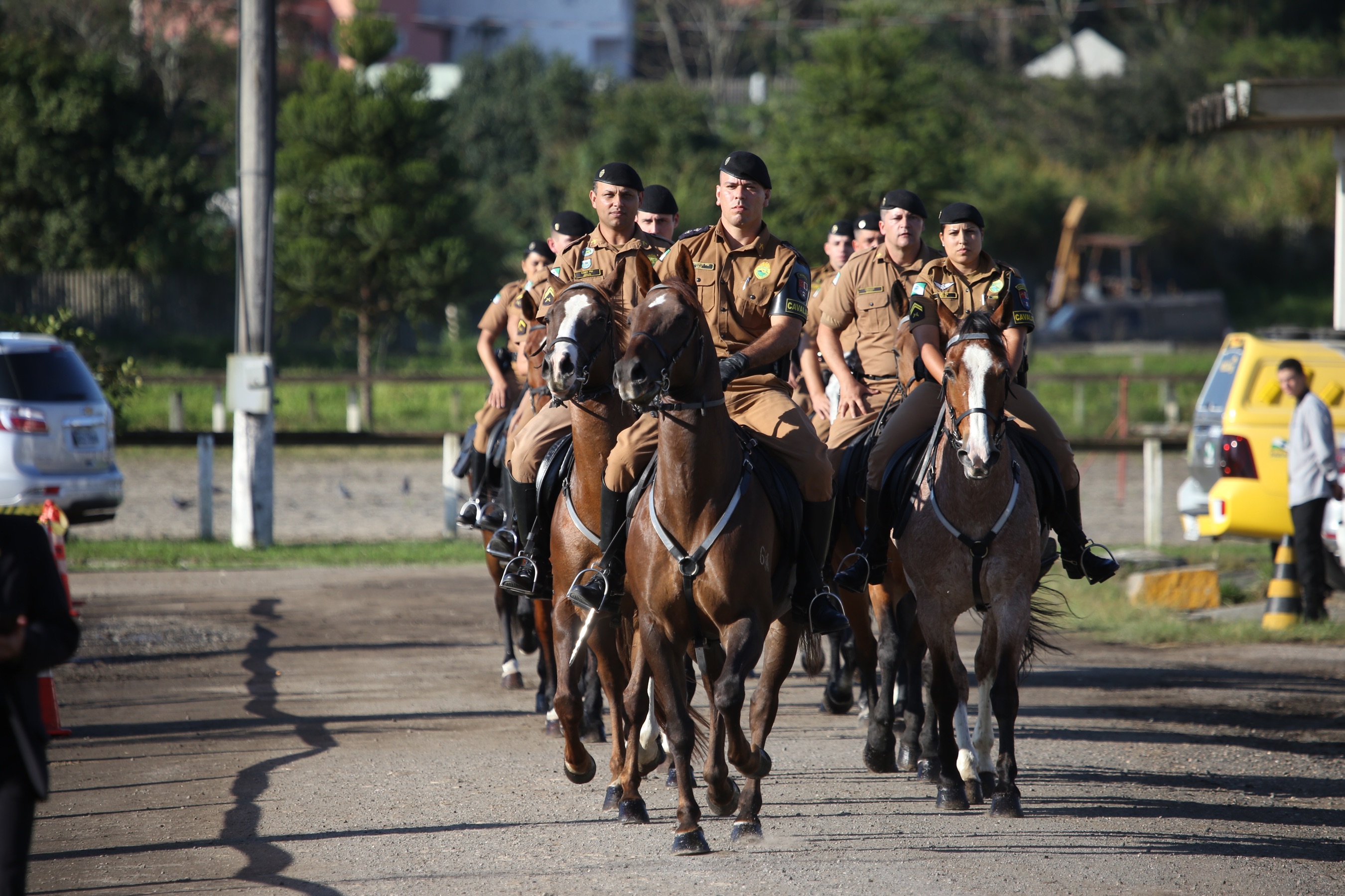 O governador Carlos Massa Ratinho Junior e o presidente em exercício Hamilton Mourão receberam nesta sexta-feira (28) a medalha Heróis da Cavalaria, da Polícia Montada Coronel Dulcídio. A condecoração foi entregue na cerimônia, em Curitiba, que comemora os 140 anos do regimento, que é a unidade mais antiga da Polícia Militar do Paraná. - Curitiba, 28/06/2019 - Foto: José Fernando Ogura/ANPr