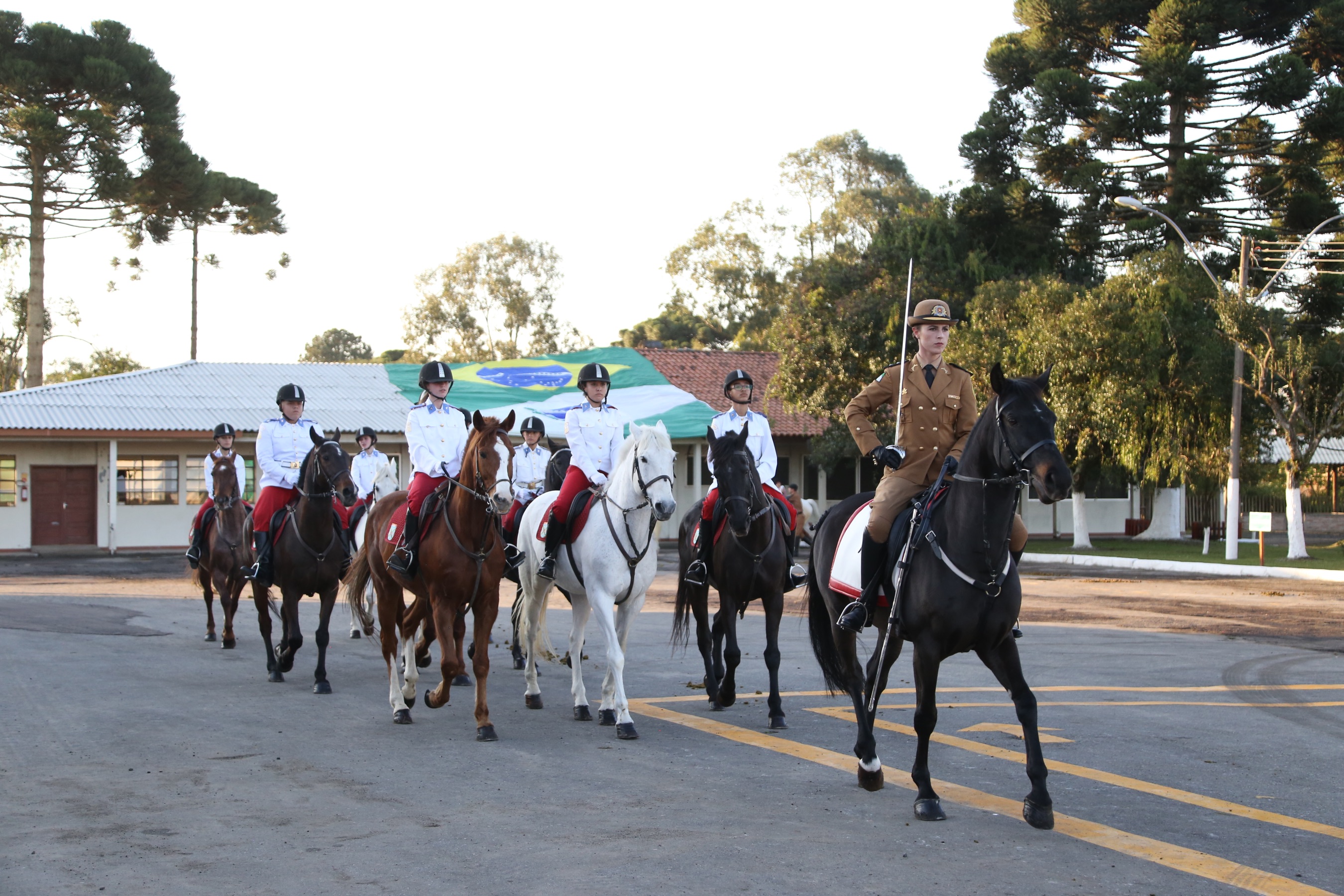 O governador Carlos Massa Ratinho Junior e o presidente em exercício Hamilton Mourão receberam nesta sexta-feira (28) a medalha Heróis da Cavalaria, da Polícia Montada Coronel Dulcídio. A condecoração foi entregue na cerimônia, em Curitiba, que comemora os 140 anos do regimento, que é a unidade mais antiga da Polícia Militar do Paraná. - Curitiba, 28/06/2019 - Foto: José Fernando Ogura/ANPr