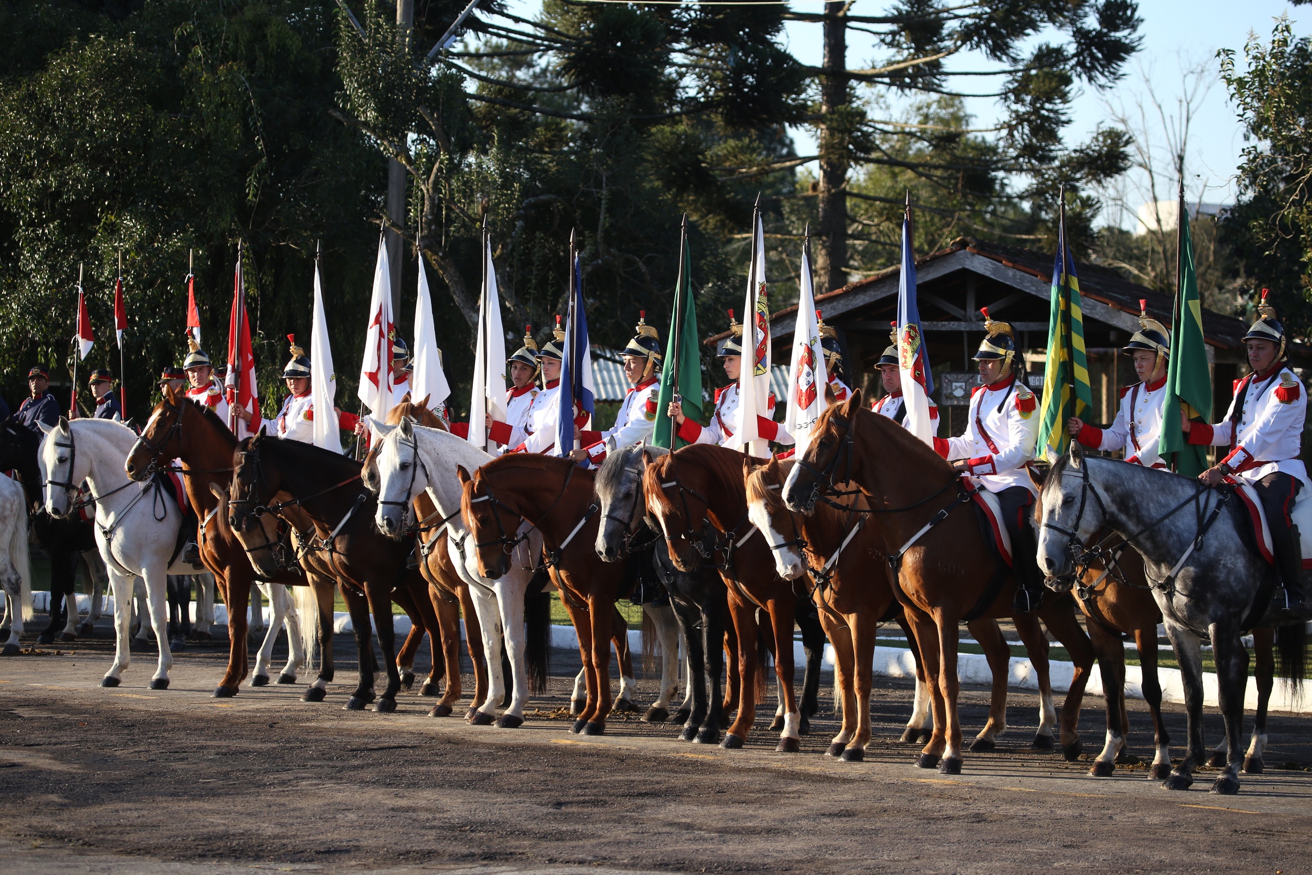 O governador Carlos Massa Ratinho Junior e o presidente em exercício Hamilton Mourão receberam nesta sexta-feira (28) a medalha Heróis da Cavalaria, da Polícia Montada Coronel Dulcídio. A condecoração foi entregue na cerimônia, em Curitiba, que comemora os 140 anos do regimento, que é a unidade mais antiga da Polícia Militar do Paraná. - Curitiba, 28/06/2019 - Foto: José Fernando Ogura/ANPr