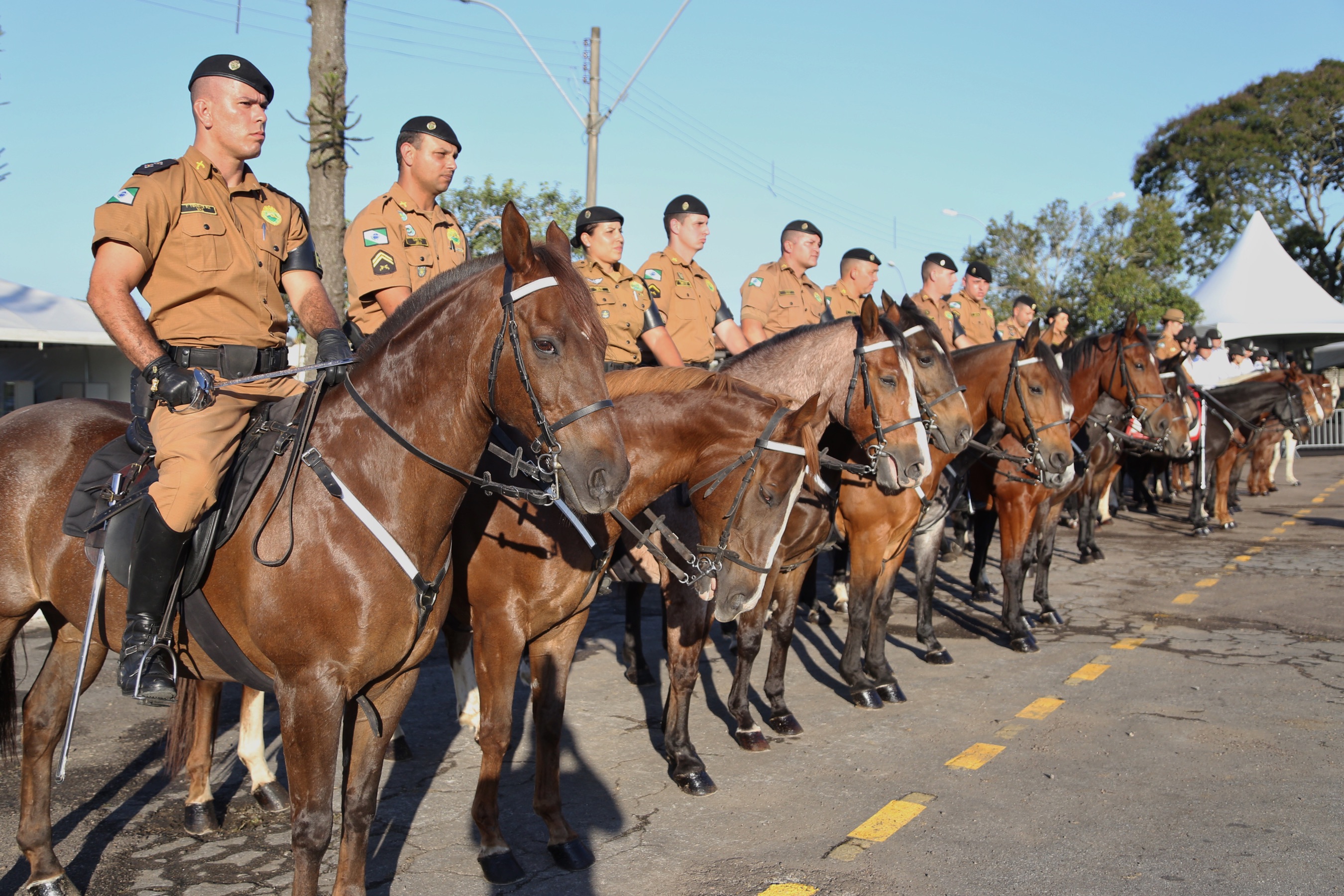 O governador Carlos Massa Ratinho Junior e o presidente em exercício Hamilton Mourão receberam nesta sexta-feira (28) a medalha Heróis da Cavalaria, da Polícia Montada Coronel Dulcídio. A condecoração foi entregue na cerimônia, em Curitiba, que comemora os 140 anos do regimento, que é a unidade mais antiga da Polícia Militar do Paraná. - Curitiba, 28/06/2019 - Foto: José Fernando Ogura/ANPr