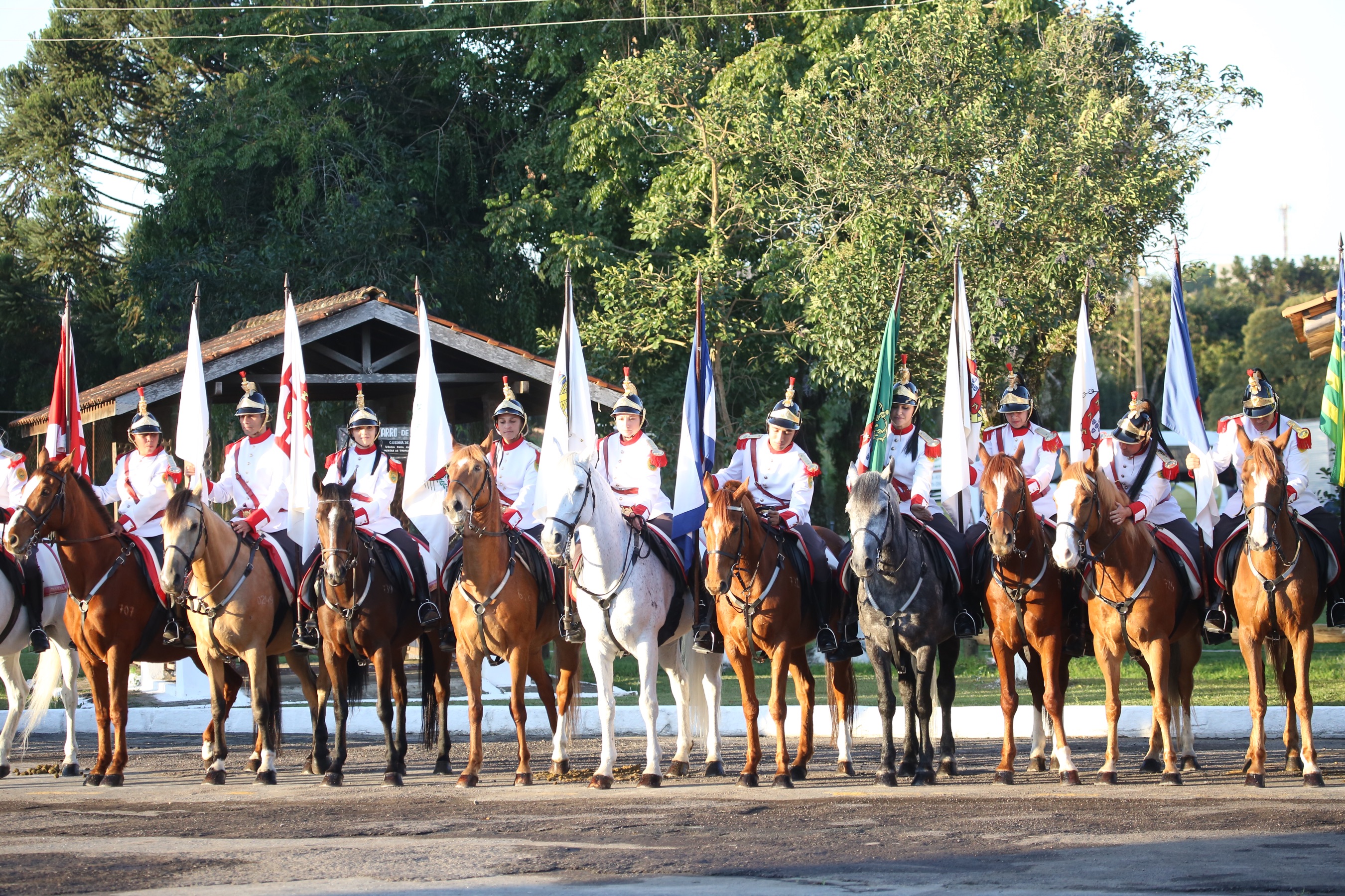 O governador Carlos Massa Ratinho Junior e o presidente em exercício Hamilton Mourão receberam nesta sexta-feira (28) a medalha Heróis da Cavalaria, da Polícia Montada Coronel Dulcídio. A condecoração foi entregue na cerimônia, em Curitiba, que comemora os 140 anos do regimento, que é a unidade mais antiga da Polícia Militar do Paraná. - Curitiba, 28/06/2019 - Foto: José Fernando Ogura/ANPr