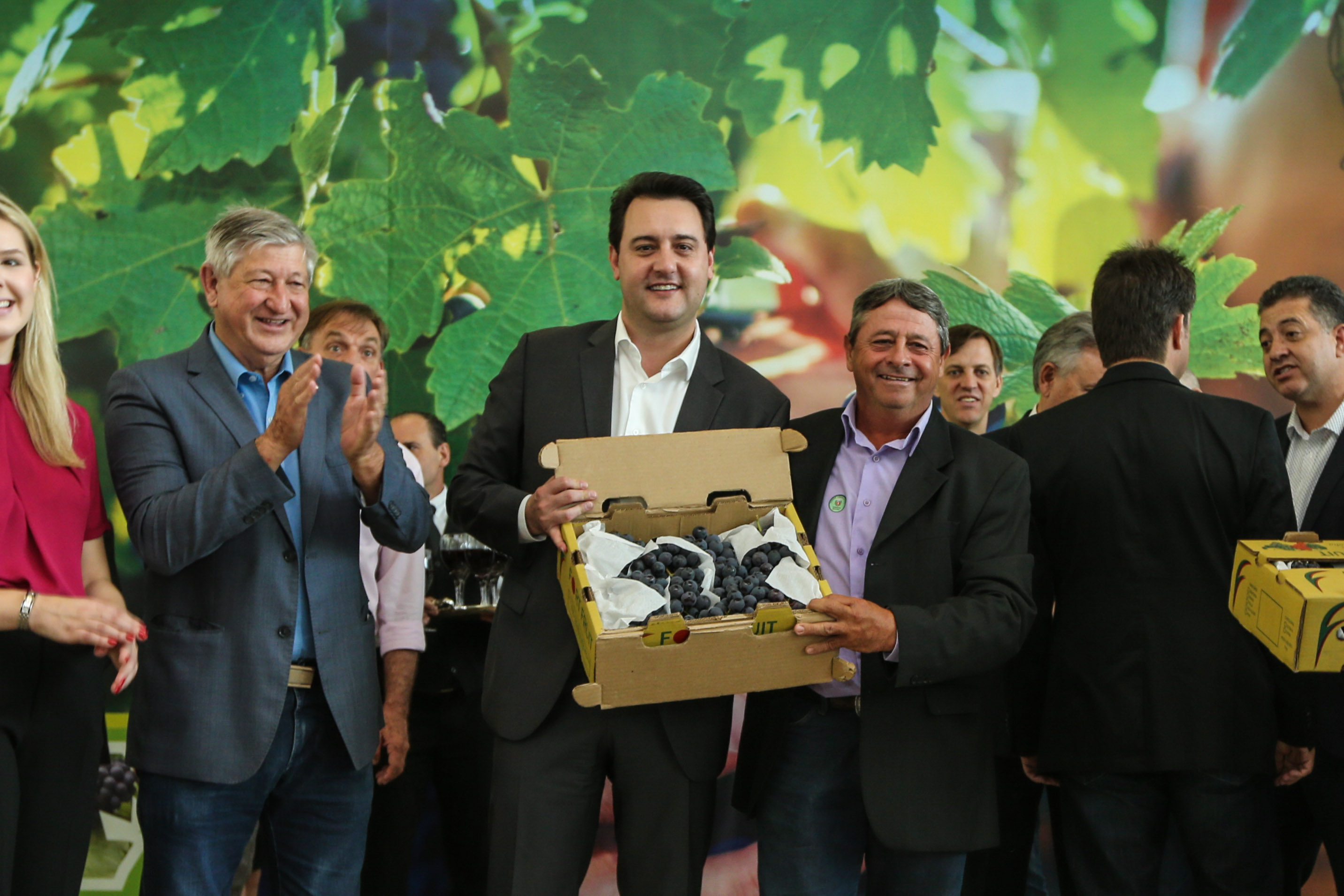 O Governador Carlos Massa Ratinho Júnior e o secretário estadual da Agricultura e Abastecimento, Norberto Ortigara, lançam nesta terça-feira (26), o programa de Desenvolvimento e Revitalização da Viticultura e da Agroindústria Vitícola no Paraná, o Revitis. Curitiba, 26/11/2019 - Foto: Geraldo Bubniak/AEN