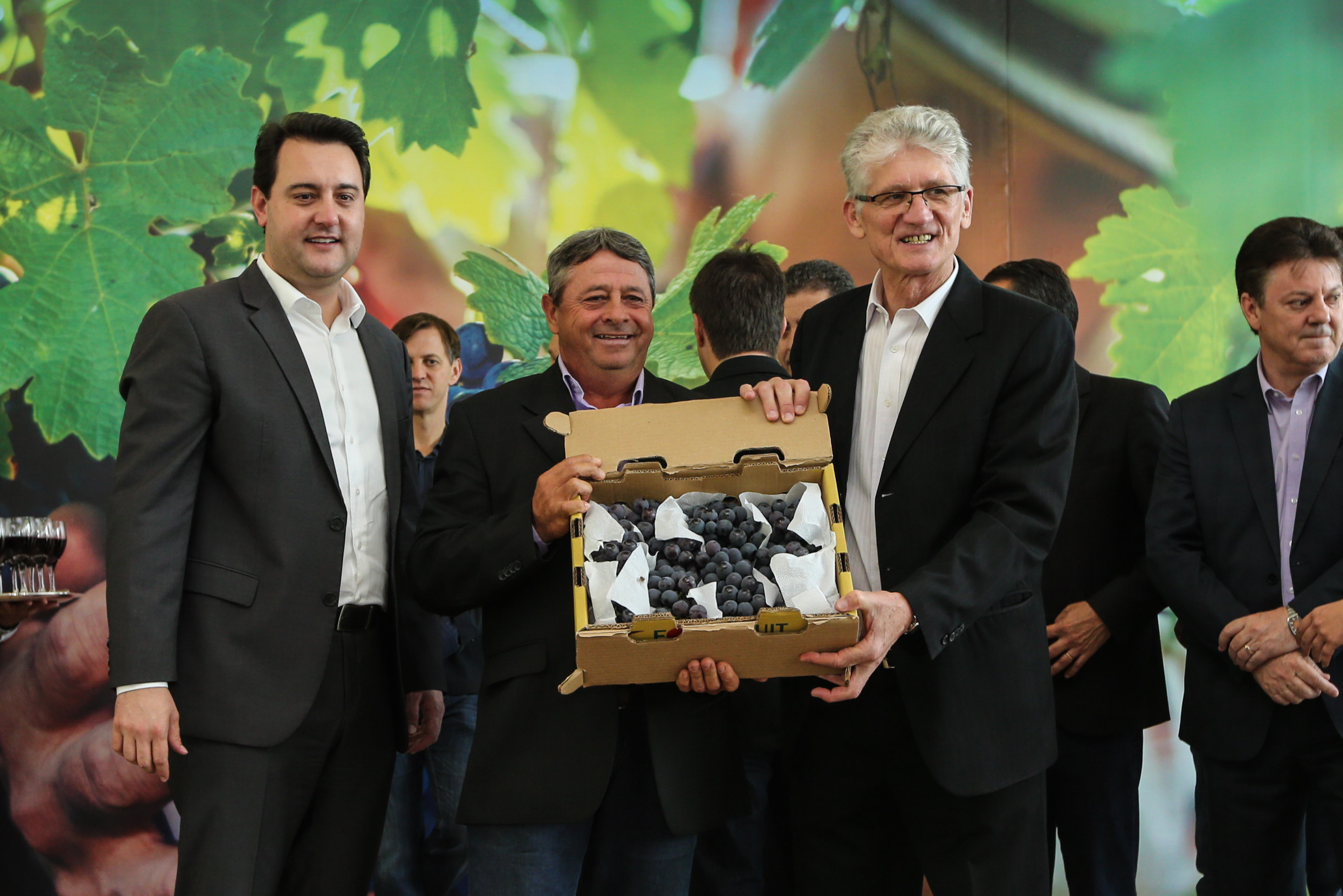 O Governador Carlos Massa Ratinho Júnior e o secretário estadual da Agricultura e Abastecimento, Norberto Ortigara, lançam nesta terça-feira (26), o programa de Desenvolvimento e Revitalização da Viticultura e da Agroindústria Vitícola no Paraná, o Revitis. Curitiba, 26/11/2019 - Foto: Geraldo Bubniak/AEN
