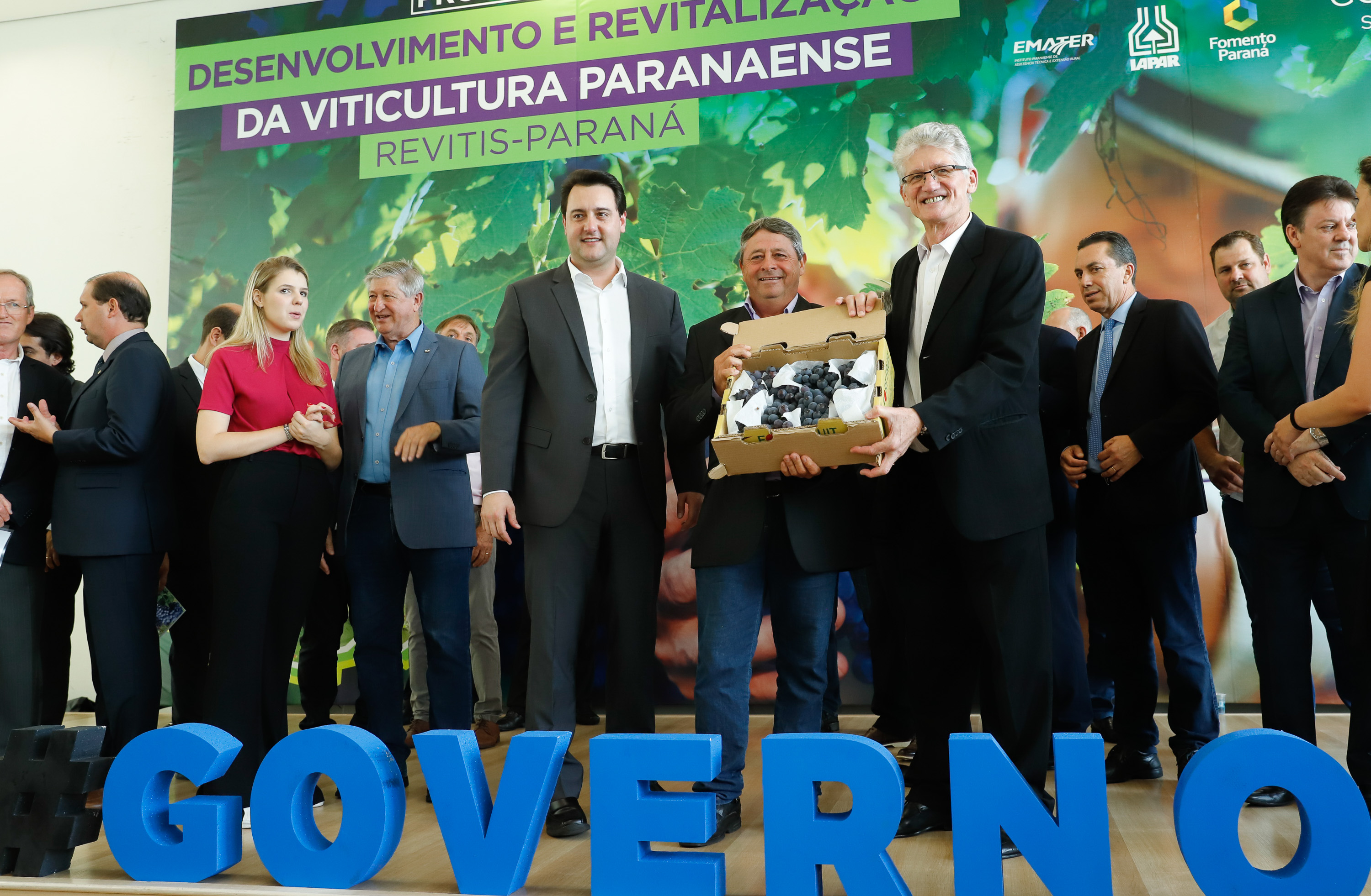 O governador Carlos Massa Ratinho Junior lançou nesta terça-feira (26), no Palácio Iguaçu, o programa Revitis, destinado a estimular a produção de uvas no Paraná. Iniciativa inédita no Estado, o programa está apoiado em quatro eixos: incentivo para a produção, reorganização da comercialização, desenvolvimento do turismo e apoio à agroindústria.