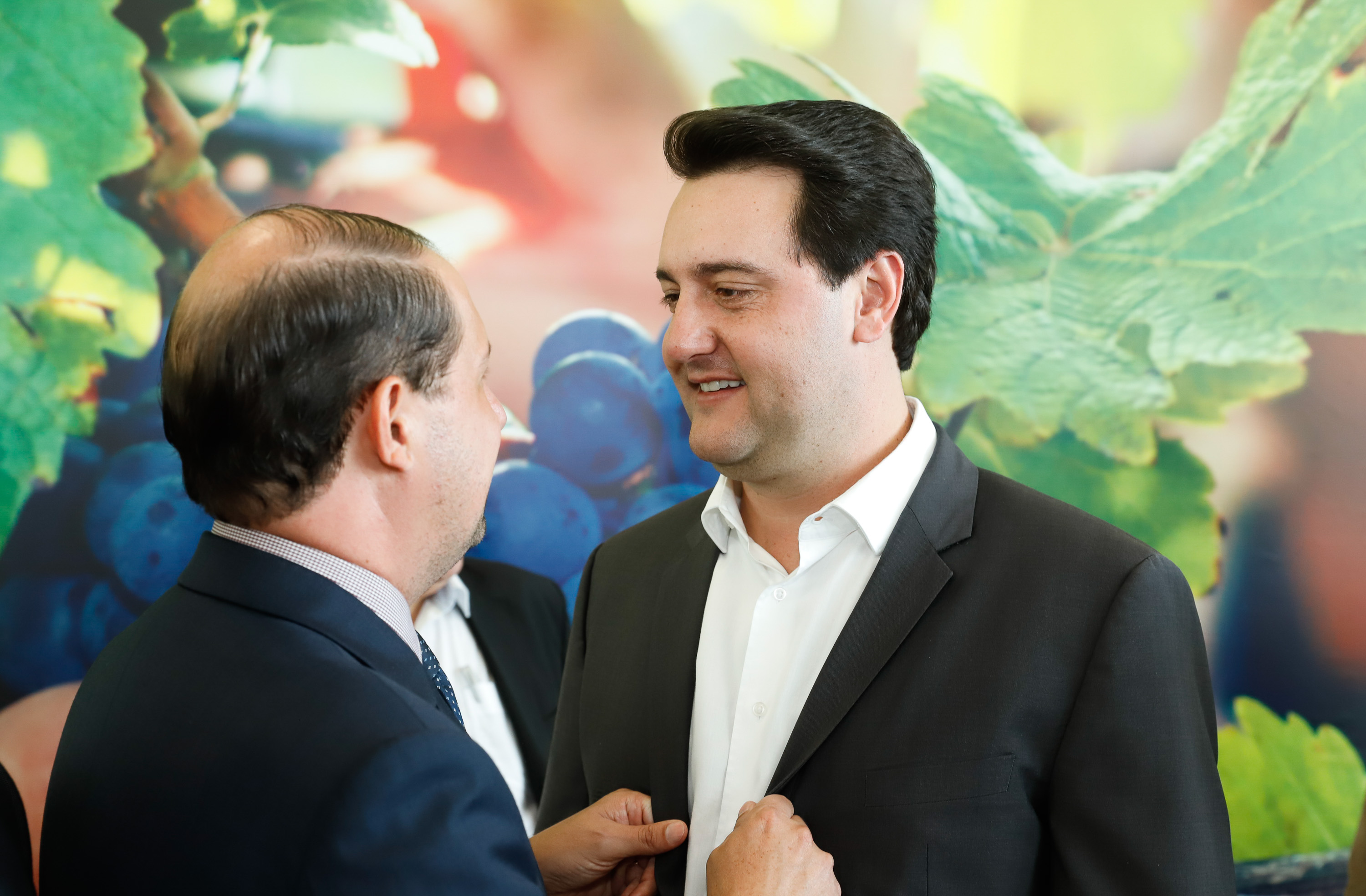 O governador Carlos Massa Ratinho Junior lançou nesta terça-feira (26), no Palácio Iguaçu, o programa Revitis, destinado a estimular a produção de uvas no Paraná. Iniciativa inédita no Estado, o programa está apoiado em quatro eixos: incentivo para a produção, reorganização da comercialização, desenvolvimento do turismo e apoio à agroindústria.