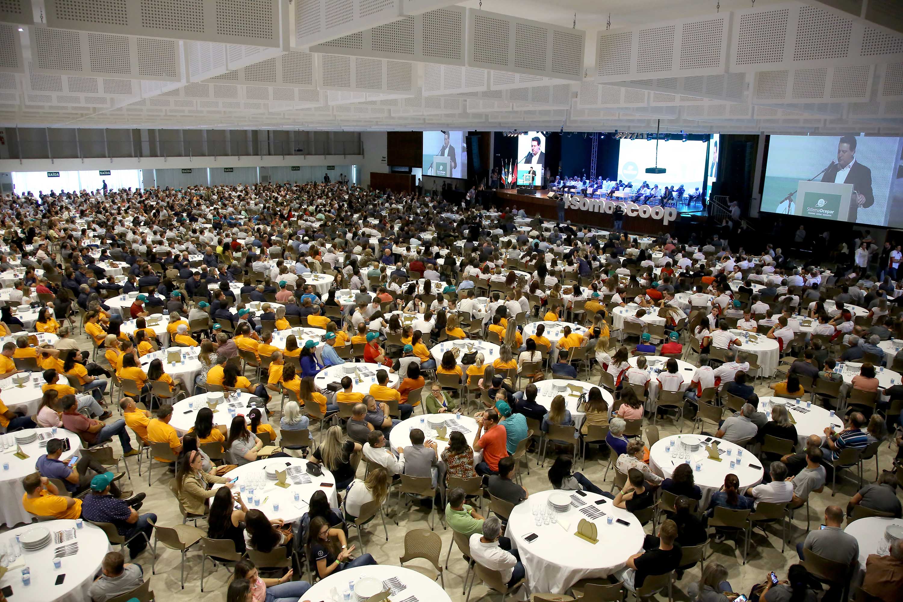 A ministra da Agricultura, Pecuária e Abastecimento, Tereza Cristina, assinou nesta sexta-feira (06), durante evento com a presença do governador Carlos Massa Ratinho Junior, instrução normativa que reforça o reconhecimento do Paraná como área livre da peste suína clássica (PSC). O documento desmembra o Estado de um grupo que era formado por 14 unidades federativas.