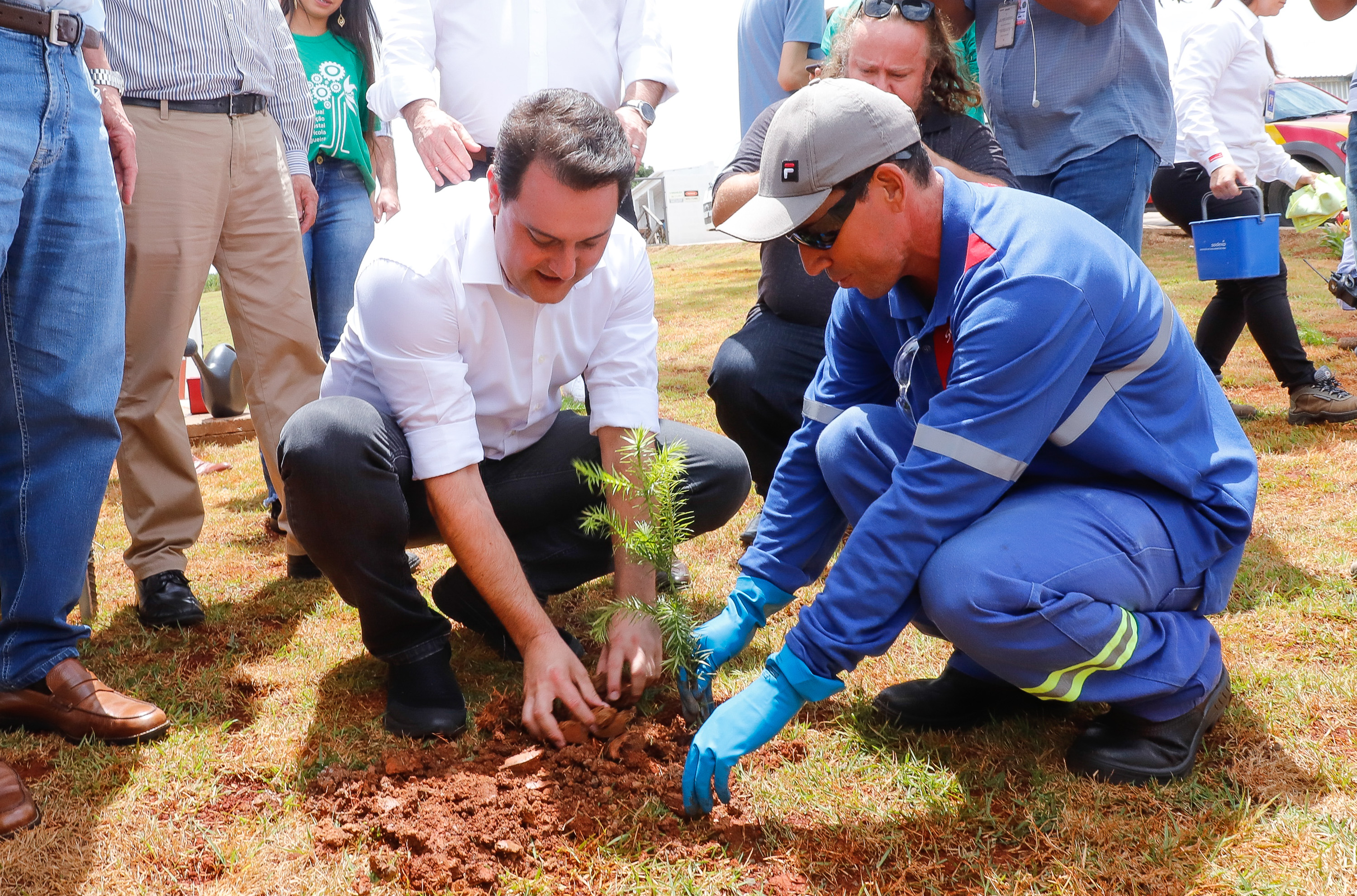 O governador Carlos Massa Ratinho Junior inaugurou nesta sexta-feira (31) a primeira escola técnica de operação florestal do Brasil, em Ortigueira, nos Campos Gerais. O Centro Estadual de Educação Profissional Florestal e Agrícola é fruto de uma parceria entre o Governo do Estado, a Klabin e a prefeitura. O investimento total foi de R$ 35 milhões, sendo R$ 12 milhões repassados pela Secretaria da Educação e do Esporte.