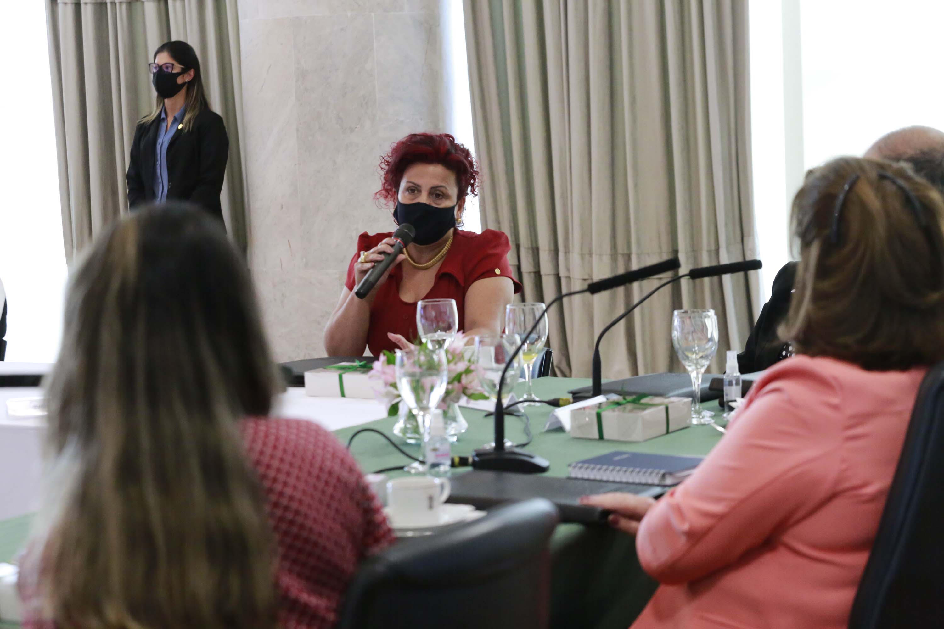 A primeira-dama do Paraná, Luciana Saito Massa, presidiu nesta terça-feira (4), em Curitiba, o primeiro Encontro de Primeiras-Damas do Paraná. A iniciativa tem como objetivo promover um debate entre as primeiras-damas de todos os municípios paranaenses sobre políticas públicas direcionadas à área social e à mulher.