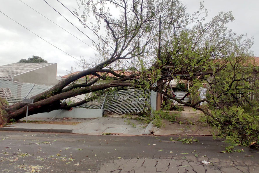 Paraná oferece moratória e acesso a crédito para municípios afetados pelo temporal. Foto: Defesa Civil