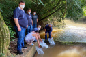 A Companhia de Saneamento do Paraná (Sanepar) fez a soltura de peixes no Rio do Lontra, manancial que abastece os moradores de Salto do Lontra, na terça-feira (23). Na ação, que faz parte das comemorações do Dia do Rio, foram lançados 5 mil peixes em idade juvenil das espécies lambari e jundiá. Essas espécies fazem parte da fauna da bacia do Baixo Iguaçu, na qual está inserido o Rio do Lontra. -  Salto do Lontra, 23/11/2021 - Foto: Sanepar
