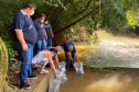 A Companhia de Saneamento do Paraná (Sanepar) fez a soltura de peixes no Rio do Lontra, manancial que abastece os moradores de Salto do Lontra, na terça-feira (23). Na ação, que faz parte das comemorações do Dia do Rio, foram lançados 5 mil peixes em idade juvenil das espécies lambari e jundiá. Essas espécies fazem parte da fauna da bacia do Baixo Iguaçu, na qual está inserido o Rio do Lontra. -  Salto do Lontra, 23/11/2021 - Foto: Sanepar