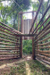 O Instituto Água e Terra (IAT), órgão vinculado à Secretaria de Estado do Desenvolvimento Sustentável e do Turismo (Sedest), iniciou a instalação de armadilhas para a captura de javalis no Parque Estadual Vila Rica do Espírito Santo, no município de Fênix. A espécie é considerada exótica invasora e causa prejuízos à fauna e flora local. - Curitiba, 29/11/2021 - Foto: IAT