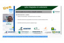 O Paraná intensificou, neste ano, as ações integradas para combate à deriva de defensivos agrícolas. Parte dos resultados, além de orientações e metas dessa iniciativa foram discutidos no evento online “Ação Integrada de Coexistência entre Agricultura, Apicultura, Meliponicultura e Sericicultura”, na quarta-feira (10). O debate teve a participação de representantes da Secretaria da Agricultura e do Abastecimento, Instituto de Desenvolvimento Rural do Paraná Iapar- Emater (IDR-Paraná), Agência de Defesa Agro