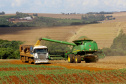 Safra de verão no Paraná pode chegar a 25,61 milhões de toneladas.