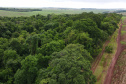 RPPN São Sebastião - Jacarezinho/PR - Foto: IAT