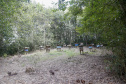 Produção de mel - 04-2021 Ortigueira - Pr Gilson Abreu/AEN