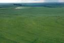 As condições climáticas favoráveis possibilitaram que os produtores paranaenses de milho encerrassem o plantio da primeira safra 2021/22 nesta semana, com a lavoura apresentando bom desenvolvimento. Esse é um dos assuntos abordados no Boletim de Conjuntura Agropecuária referente ao período de 05 a 11 de novembro. Foto: José Fernando Ogura/AEN