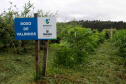 O investimento em pesquisa, em assistência técnica e extensão rural está colaborando para tornar a Lapa referência na fruticultura. A Estação Experimental do Instituto de Desenvolvimento Rural do Paraná Iapar-Emater (IDR-Paraná) no município alia tecnologia a boas práticas, e agora busca fortalecer o laço com outras cidades para incentivar a produção regional.Foto: Gisele Barão/SEAB