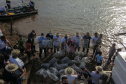 A soltura de 20 mil dourados e 200 mil lambaris no Reio Ivaí, em Mirador, no Noroeste, contou com a presença de 200 participantes do 20º Hally Fluvial SOS Rio Ivaí, neste final de semana. Os competidores foram recepcionados pelo secretário do Desenvolvimento Sustentável e do Turismo (Sedest), Márcio Nunes  -  Mirador, 14/11/2021 - Foto: Alessandro Vieira/Sedest