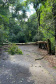 Temporal danifica estrutura do Parque Estadual Vitório Piassa, em Pato Branco - Pato Branco, 29/11/2021 - Foto: IAT