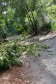 Temporal danifica estrutura do Parque Estadual Vitório Piassa, em Pato Branco - Pato Branco, 29/11/2021 - Foto: IAT