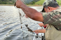 Em força-tarefa, o Instituto Água e Terra (IAT) apreendeu equipamentos de pesca irregular e se deparou com crimes ambientais ao longo da Represa do Capivari, em Campina Grande do Sul, na Região Metropolitana de Curitiba (RMC). - Curitiba, 19/11/2021 - Foto: IAT