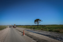 Pavimentação em concreto ca PRC-280 avança 1 Km por dia.